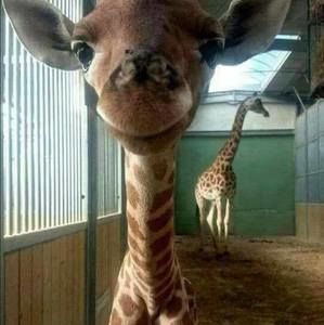 Meet your Posher, Sheri